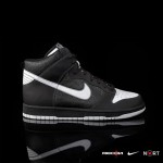 Nike Dunk Hi Premium