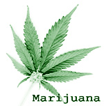marijuana_addiction.jpg