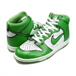 Nike Dunk 1 Piece