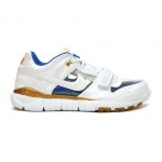 Air Trainer Dunk Invisible Woman