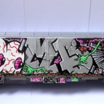 Zoombie 2008